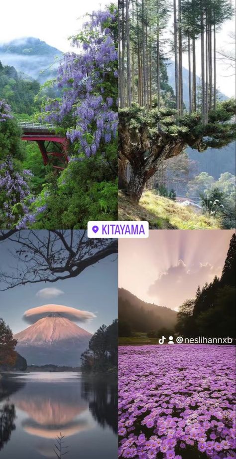 kitayama kyoto japan aesthetic location instagram story daisugi mountain landscapes ethereal Japan Travel Pictures, Kyoto Japan Aesthetic, Kyoto Aesthetic, Japan Travel Aesthetic, Tokyo Japan Aesthetic, Cute Places, Japan Places To Visit, Japan Vibes, Japan Core