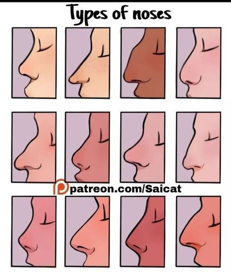 Types Of Noses, الفن الرقمي, 얼굴 드로잉, Nose Drawing, Drawing Help, Smink Inspiration, Cool Pencil Drawings, Drawing Expressions, Art Help