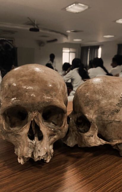 Medical Examiner Aesthetic, Vienna Waits For You, Forensic Anthropology, Student Aesthetic, Medical School Life, Medical Photos, Career Vision Board, Aesthetic Dark Academia, Med Student