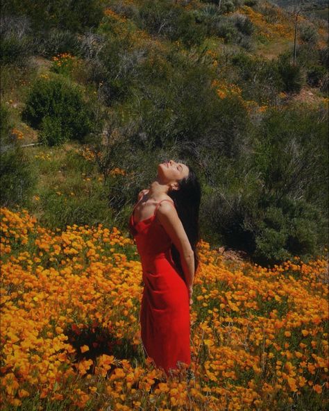 super bloom poppy fields california 
Red dress Malibu Photoshoot Ideas, Picture In Flower Field, Wild Flower Photoshoot Poses, Baddie Outdoor Photoshoot, Poses For Outdoor Photoshoot Women, Red Dress Photoshoot Ideas Outdoor, Floral Dress Photoshoot Ideas, Photos In Flower Fields, Spring Field Photoshoot