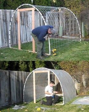 Reban Ayam, Diy Garden Landscaping, Diy Greenhouse Plans, Cattle Panels, Build A Greenhouse, نباتات منزلية, Backyard Greenhouse, Small Greenhouse, Greenhouse Plans