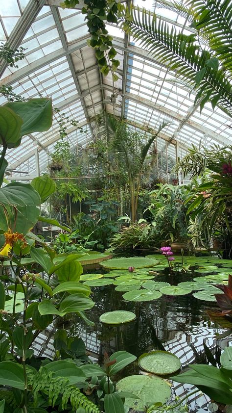 Earthy outdoors vibe naturally Solar Punk Aesthetic, Drawtober 2023, Ishigaki Japan, Green House Aesthetic, Big Green House, Aesthetic Greenhouse, Glass House Garden, Organic Lighting, Kew Gardens London