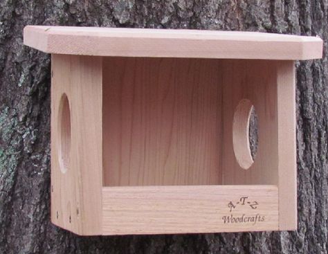 Bird, Squirrel, Bat Houses and Feeders – tagged "Nest Boxes" – Backyard Life Ladybug House, Bird House Plans Free, Backyard Birds Sanctuary, Squirrel Feeders, Birdhouses Bird Feeders, Homemade Bird Houses, Bird Houses Ideas Diy, Bird House Feeder, Butterfly Houses