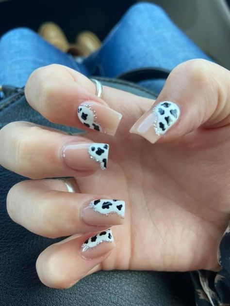 Cow And Leopard Print Nails, Nashville Nails French, Farm Acrylic Nails, Cute Cow Nails Short, Short Acrylic Nails Square Western, French Tip Cow Nails, Short Acrylic Nails Designs Cow Print, Nails Acrylic Country, Short Square Cow Print Nails