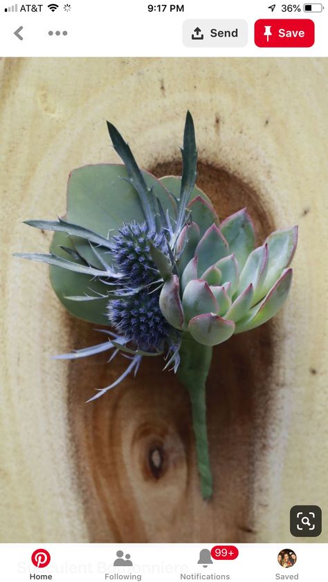 Succulent Boutonniere And Corsage, Boutineer Ideas Succulent, Cactus Boutonniere, Succulent Boutineer, Unique Boutonniere, Succulent Wedding Bouquet, Succulent Corsage, Succulent Boutonniere, Beautiful Wedding Centerpiece