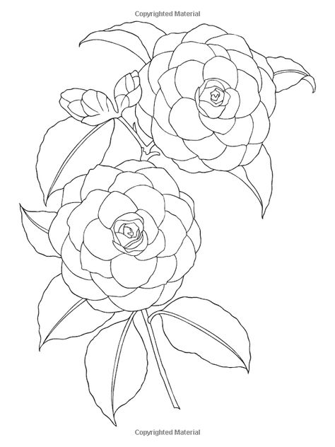 Flowers Mandala, Mandala Ideas, Wild Tattoo, Flower Line Drawings, Flower Drawing Tutorials, Flower Drawings, Spring Pattern, Drawing Flowers, Flower Art Drawing