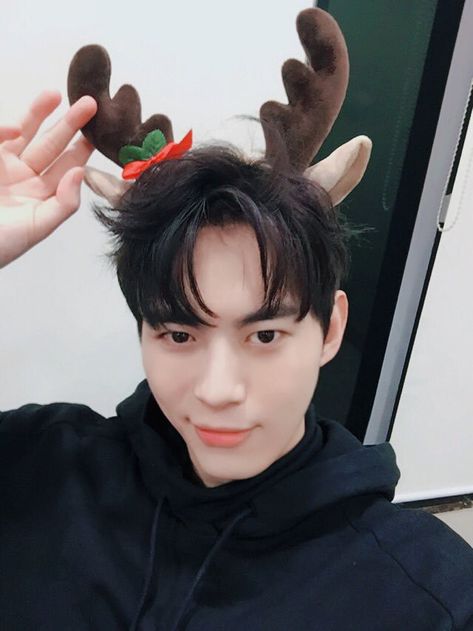 Lee Hong Bin, Vixx Hongbin, Ravi Vixx, Asian Artist, Jellyfish Entertainment, You Are Cute, Celebrity Wallpapers, Group Pictures, Asian Celebrities