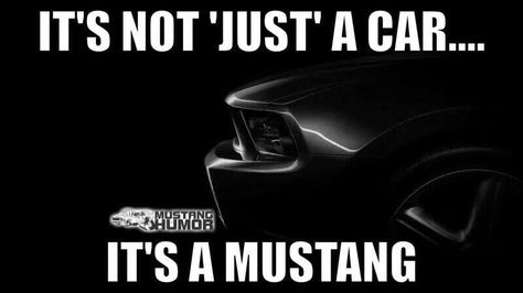 My thoughts exactly! Mustang Quotes, Mustang Humor, Cars Quotes, Mustang Girl, Ford Girl, Mustang Sally, New Mustang, Funny Car Memes, For Mustang