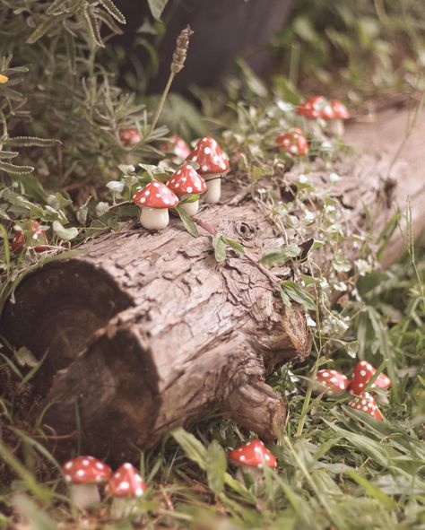 @forest.and.finch shared a photo on Instagram: “The perfect little garden ornaments 🍄✨ . #etsystore #etsyau #smallbusiness #smallbusinessaustralia #cottagecore #cottagecoreaesthetic…” • Apr 19, 2022 at 11:03am UTC Woodland Fairy Aesthetic, Faerie Aesthetic, Cottagecore Forest, Garden At Home, Magical Mushroom, Goblincore Aesthetic, Mushroom Garden, Forest Core, Fairy Wallpaper