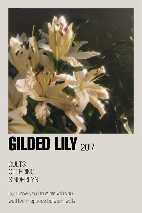 Gilded Lily Poster, Gilded Lily Aesthetic, Gilded Lily Song, Song Polaroid, Gilded Lily, Minimalist Music, Dorm Posters, Unread Books, Lyrics Aesthetic