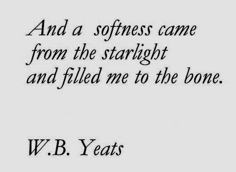 "And a softness came from the starlight and filled me to the bone" -W.B.Yeats W B Yeats, Port Royal, This Is Your Life, To The Bone, Literature Quotes, Book Stack, Literary Quotes, Poem Quotes, The Bone