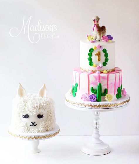 🎀Cutest ‘lil Llama Smash Cake by @madisonsonmaincakes 🎀 Phot Llama First Birthday Cake, Llama Smash Cake, Llama First Birthday, First Fiesta, Cake Smash Inspiration, Base Cake, Cookie Recipes Decorating, Ballerina Cakes, Llama Birthday