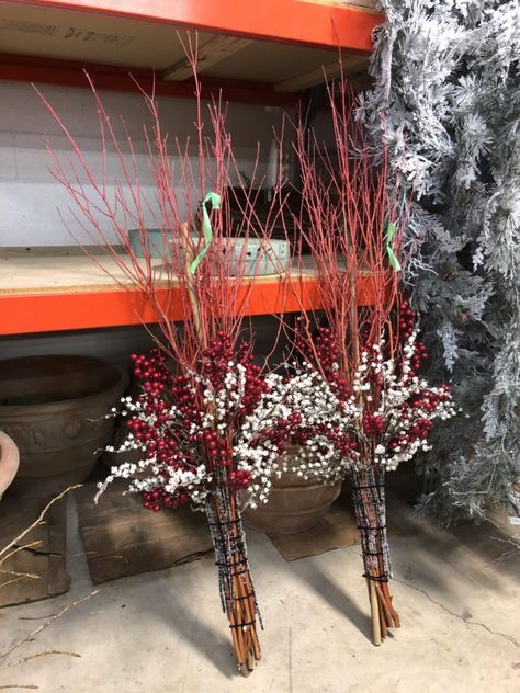 Red Twig Dogwood Christmas Decor, Dogwood Shrub, Winter Pots, Winter Containers, Porch Pots, Winter Planters, Stick Decor, Red Twig Dogwood, Christmas Urns