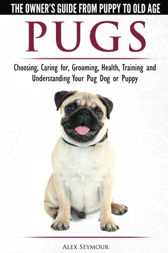 Pug Training, Pug Facts, Dog Pee Smell, Train Puppy, Happy Facts, Pee Smell, Useful Quotes, Black Pug Puppies, Dog At Home