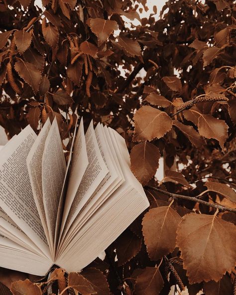 I love the brown, rustic feeling leaves in the background of the book. Aesthetic Brown, Brown Wallpaper, Inspiration Instagram, Beige Aesthetic, Aesthetic Colors, Jolie Photo, Brown Aesthetic, Fall Wallpaper, Autumn Aesthetic