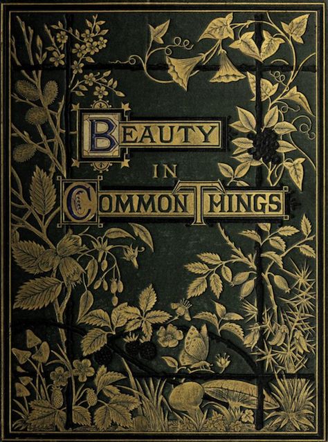 This looks like it would be such a beautiful book to read... An exquisite cover, and the title just calls for you to come rest from your labour, and explore the beauty not oftentimes seen... Vintage Book Cover, Vintage Book Covers, Beautiful Book Covers, Old Book, Book Cover Art, Old Books, Ravenclaw, Antique Books, Book Cover Design