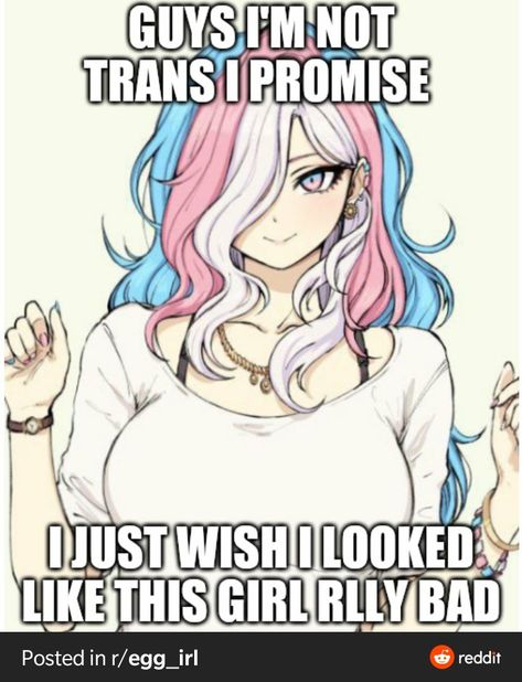 Transgender Quotes, Trans Art, Lgbtq Funny, Gay Memes, Trans Pride, Really Funny Pictures, Just Girly Things, Mood Pics, Anime Funny