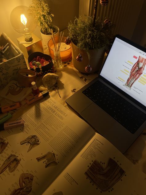 #study #studying #medicine #medschool #medstudent #anatomy #studymotivation #aesthetic Muscles Anatomy Aesthetic, Medicine Core Aesthetic, Studying Human Anatomy, Medicine Moodboard Aesthetic, Anatomy Studying Aesthetic, Study Anatomy Aesthetic, Med Student Study Aesthetic, Anatomy Class Aesthetic, Sport Medicine Aesthetic