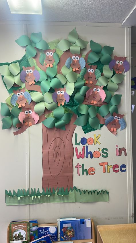 Prek Door Ideas, Owl Classroom Decor, Owl Classroom, Preschool Projects, Owl Tree, Back To School Bulletin Boards, Owl Theme, School Bulletin Boards, Door Decoration