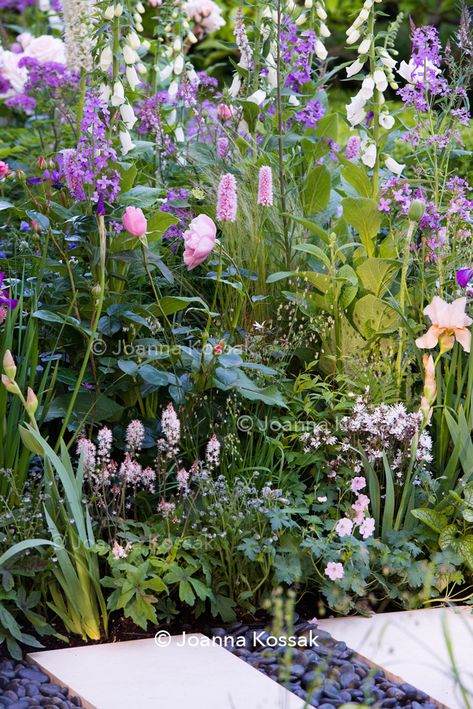 Persicaria Bistorta, Hesperis Matronalis, Garden Slabs, Cottage Garden Borders, Digitalis Purpurea, Natasha Richardson, Limestone Paving, Cottage Garden Plants, Smart Garden