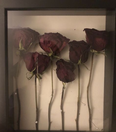 A Lesson In Vengeance, Aesthetic Aesthetic, Roses, Purple, Frame, Glass, Flowers