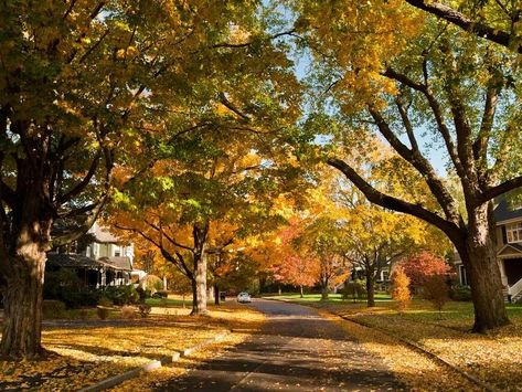 The 10 Snobbiest Places in Massachusetts for 2024 - NewsBreak Waltham Massachusetts, Newton Massachusetts, Best Time To Buy, Quad Cities, Fall Sale, College Town, Fall Day, Types Of Houses, The Seasons