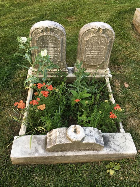 Small gardens are created in the grave. Tomb Stone Aesthetic, Grave Yard Aesthetic, Grave Aestethic, Grave Aesthetic, Gravestone Ideas, Grave Ideas, Grave Garden, Beautiful Cemeteries, Grave Stone