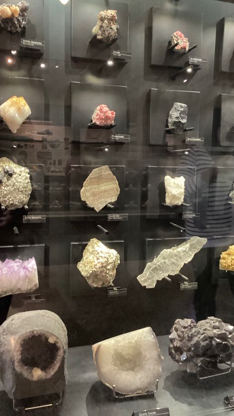 Geology Exhibition, Rock Display Ideas, Mineral Collection Display, Crystal Collection Display, Rock Collection Display, Rock Display, Geode Decor, Stone Display, Minerals Museum