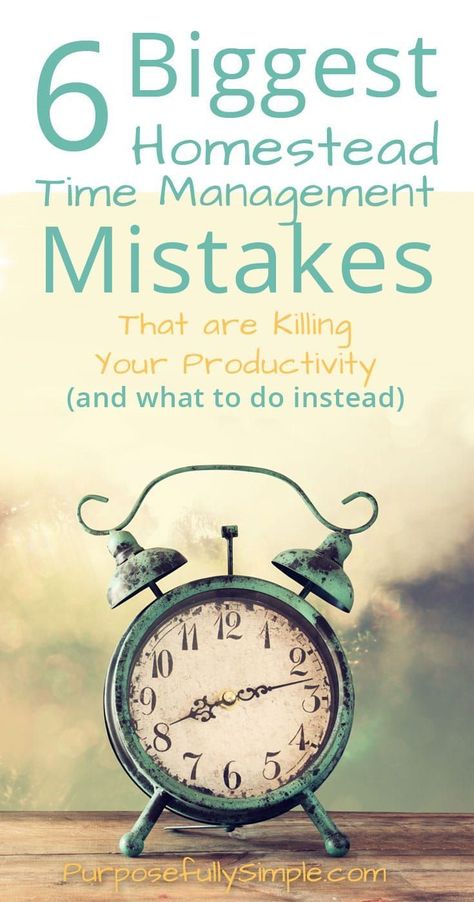 When I started out I definitely made these homestead time management mistakes. Find out how to avoid these same mistakes and reach your homestead dreams. #homesteading Homestead Management, Ranch Ideas, Modern Homesteading, Homestead Ideas, Homesteading Diy, Homesteading Skills, Ancient Technology, Urban Homesteading, Homestead Survival