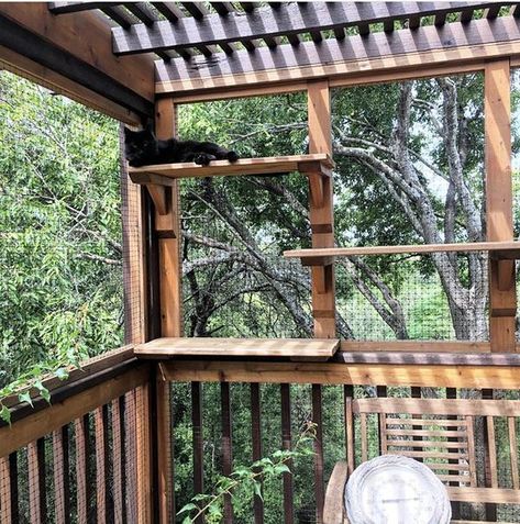 Catios (Cat Patios) You Have to See Right Meow – Meowingtons Cat Patios, Cats Room, Diy Cat Enclosure, Cat Tree Plans, Cat House Plans, Chat Diy, Balkon Decor, Cool Cat Trees, Cat Patio