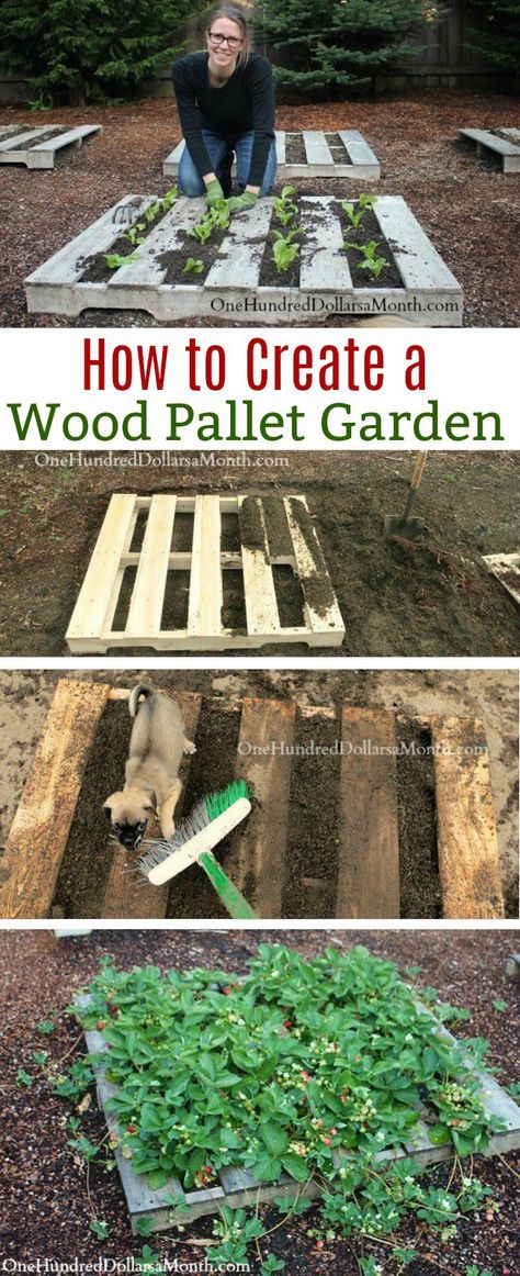 Container Wood Pallet Garden, Pallet Gardens, Pallet Gardening, Herb Garden Pallet, Pallet Projects Garden, Wood Company, Vegetable Garden Raised Beds, Pallet Garden, Pallets Garden