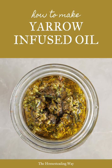 How to Make Yarrow Infused Oil Yarrow Oil, Moon Tea, Oil Infusion, Infused Oil, Infused Oils, Diy Skincare, Healing Powers, Avocado Oil, Herbal Remedies