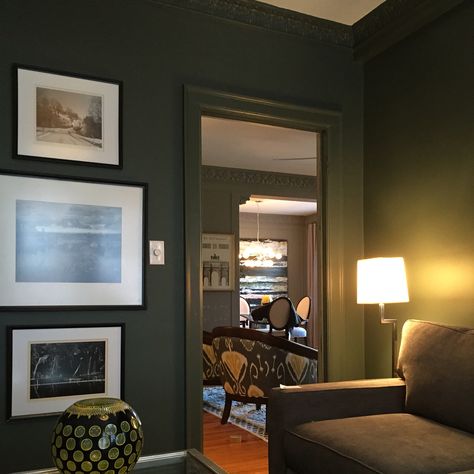 My den in Pewter Green by Sherwin Williams Pewter Green Living Room, Den Colors, Sherwin Williams Pewter Green, Sherwin Williams Green, Dark Green Living Room, Pewter Green, Warm Paint Colors, Green Living Room, Deep Green Color