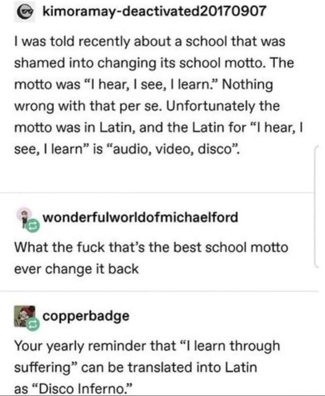 Funny Tumblr Posts, The More You Know, Text Posts, Funny Stories, Tumblr Funny, Tumblr Posts, Funny Posts, Writing Tips, Writing Prompts