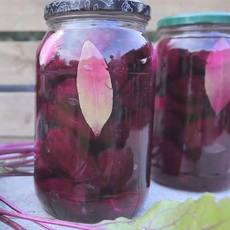 Raw Fermented Beets Fermented Beets, Fermented Vegetables Recipes, Pickled Beets Recipe, Beets Recipe, Fermented Foods Benefits, Beetroot Recipes, Raw Beets, Homemade Sauerkraut, Home Canning Recipes