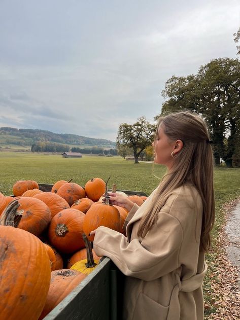 fall aesthetic Pumpkin Field Photoshoot, Cinnamon Aesthetic, Profile Foto, Apple Hill, Pumpkin Girl, Stile Blair Waldorf, Studera Motivation, Gilmore Girls Seasons, Journaling Stickers