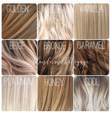 Hair Color Scale, Neutral Blonde Hair Color, Neutral Blonde Hair, Blonde Hair Color Chart, Different Shades Of Blonde, Neutral Blonde, Hair Color Chart, Honey Blonde Hair, Ash Blonde Hair