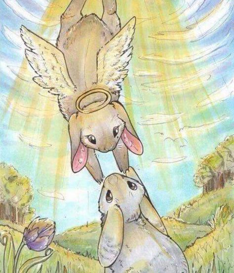 so many in heaven Bunny Memorial, Bunny Rabbit Art, Hi Mom, Bunny Tattoos, Bunny Painting, Write A Letter, Angel Drawing, Heaven Art, Bunny Drawing