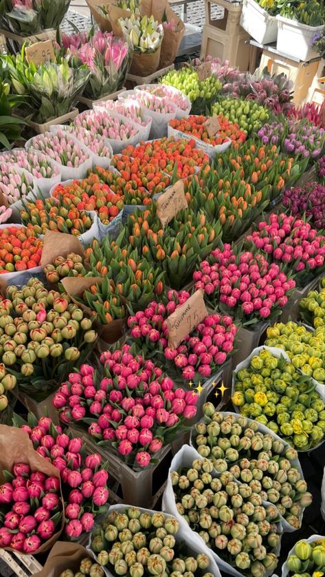 Boquette Flowers, Nothing But Flowers, Flower Therapy, I Love Flowers, Beautiful Bouquet Of Flowers, Spring Aesthetic, Tulips Flowers, Arte Floral, Winter Aesthetic