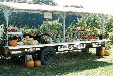 A farm stand, one of my favorite parts of summer Farm Market Ideas, Farmers Market Stand, Farmers Market Display, Produce Stand, Vegetable Stand, Top Farm, Product Stand, Farm Business, Farm Store