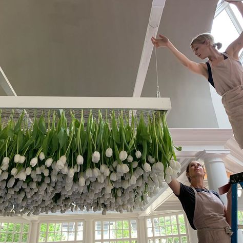 Sophie Felts Floral Design on Instagram: “The hanging tulip 🌷 installation that we got to do this weekend was exhilarating. The first step is always an inspired bride (@lydaguiar )…” Table Flower Decor, Summer Shoot, Weekend Work, Table Flower, Event Planning Design, Hanging Flowers, Local Wedding, Wedding Fun, Flower Decor