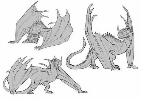 Dragon Poses, Dragon Anatomy, Drawing Dragon, Dragon Artwork Fantasy, Dragon Sketch, Creature Artwork, Fantasy Drawings, Creature Drawings, Dragon Pictures