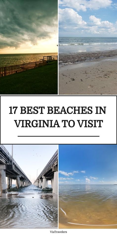 If you’re planning for a vacation in Virginia, you should not miss its beautiful beaches. Here are the best beaches in Virginia you should not miss. Beaches In Virginia, Assateague Island National Seashore, Ocean Views Beach, Chesapeake Bay Bridge, Chesapeake Beach, Sandbridge Beach, Colonial Beach, Cape Charles, Island Park