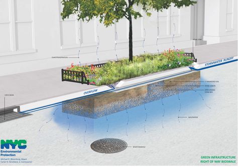 Bioswale, green infrastructure, department of environmental protection Koshino House, Rain Garden Design, Green Infrastructure, Water From Air, Living Pool, Stormwater Management, Plans Architecture, Bed Stuy, Rainwater Harvesting