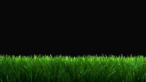 Green grass animation for lower 3rd, matte included. Grass Animation, Grass Png, Overlays Transparent, Tree Saw, Cityscape Photos, Nature Backgrounds, Marketing Design, Green Screen, Custom Illustration