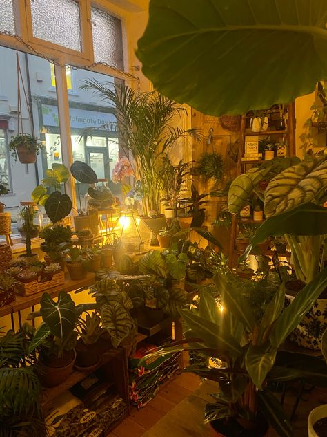 Earthy Retro Aesthetic, Led And Plants Room, Room Earthy Aesthetic, Planty Room Aesthetic, Botanical Room Aesthetic, Cosy Moodboard, Aesthetic House Plants, Earthy Aethstetic, Plant Filled House