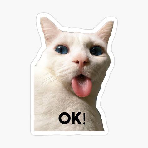 Cats Memes Funny Humor, Funny Stickers For Whatsapp, Cute Funny Stickers, Awkward Meme, Relatable Stickers, Ok Meme, Crazy Stickers, Funny Cat Stickers, Stickers Mood