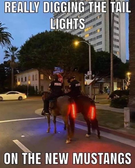 37 Vehicle Memes That Will Take You Far - Gallery Horse Jokes, Car Jokes, New Mustang, Funny Animals With Captions, Country Jokes, Funny Horses, Funny Animal Jokes, Funny Animal Memes, Funny Puns