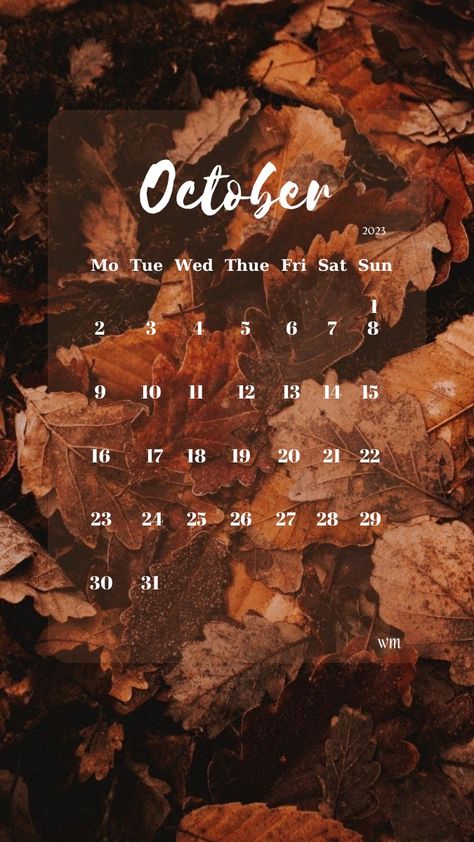 October Aesthetic Month, October Dump Instagram, October Calendar 2023, October Calendar Wallpaper, October Dump, Calendar October, November Wallpaper, Calendar Widget, October Calendar