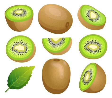 Set of kiwi fruit whole, half and cut slice illustration isolated on white background Kiwi Fruit, Art Drawings Sketches Simple, Art Drawings Sketches, Kiwi, Drawing Sketches, Vector Art, White Background, Clip Art, Fruit